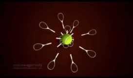 Neo Sports Channel Logo Animation Video (Motion Magic Media)